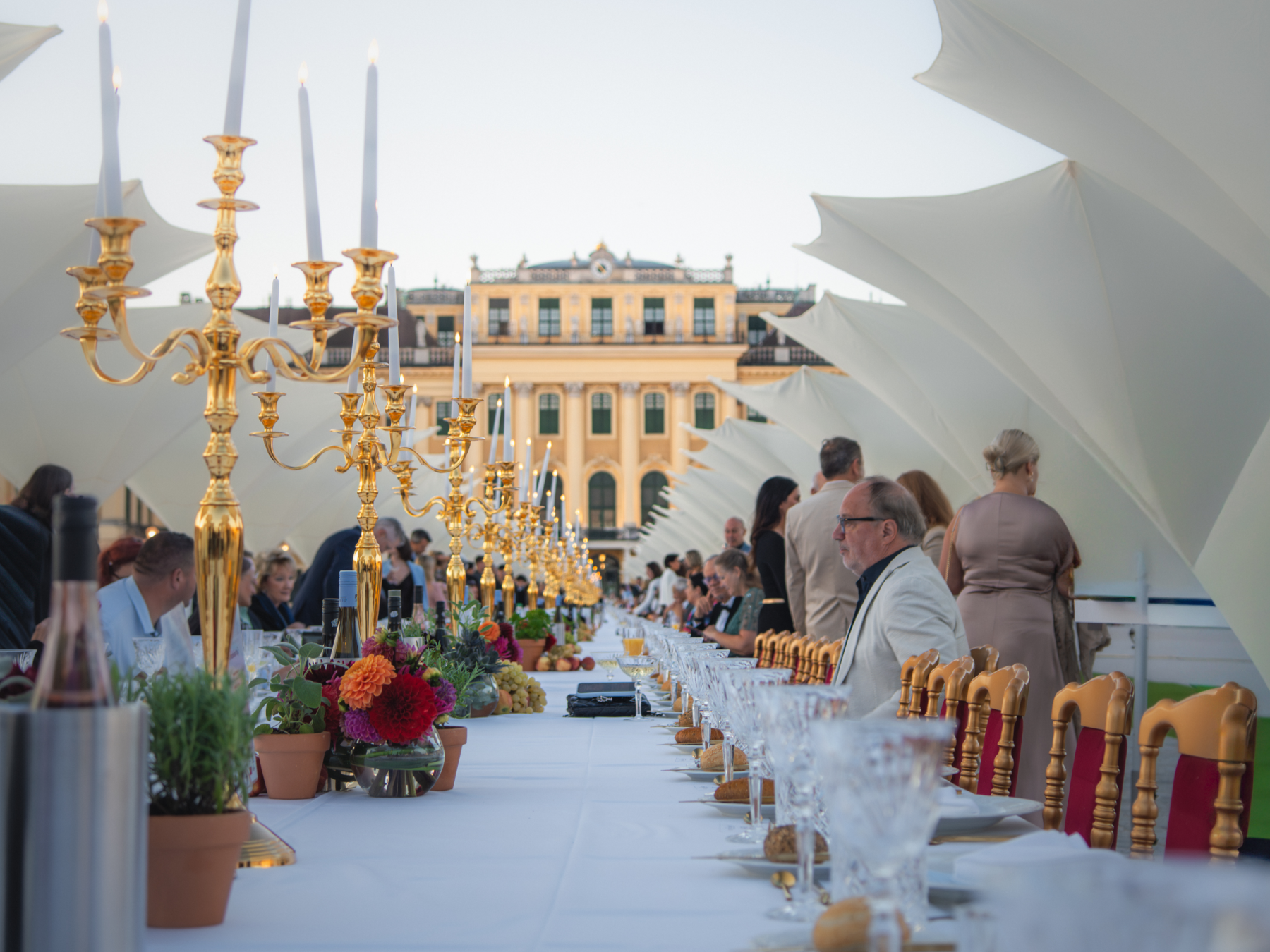Palace gala dinner at Schönbrunn, Vienna
