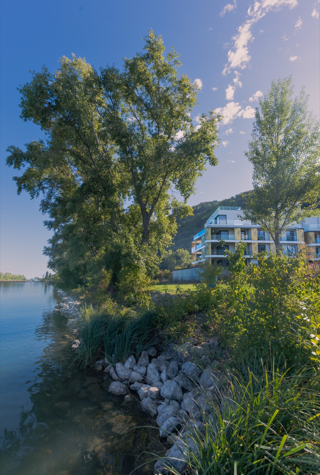 The Shore by the Danube — Best Alex Shots, Vienna