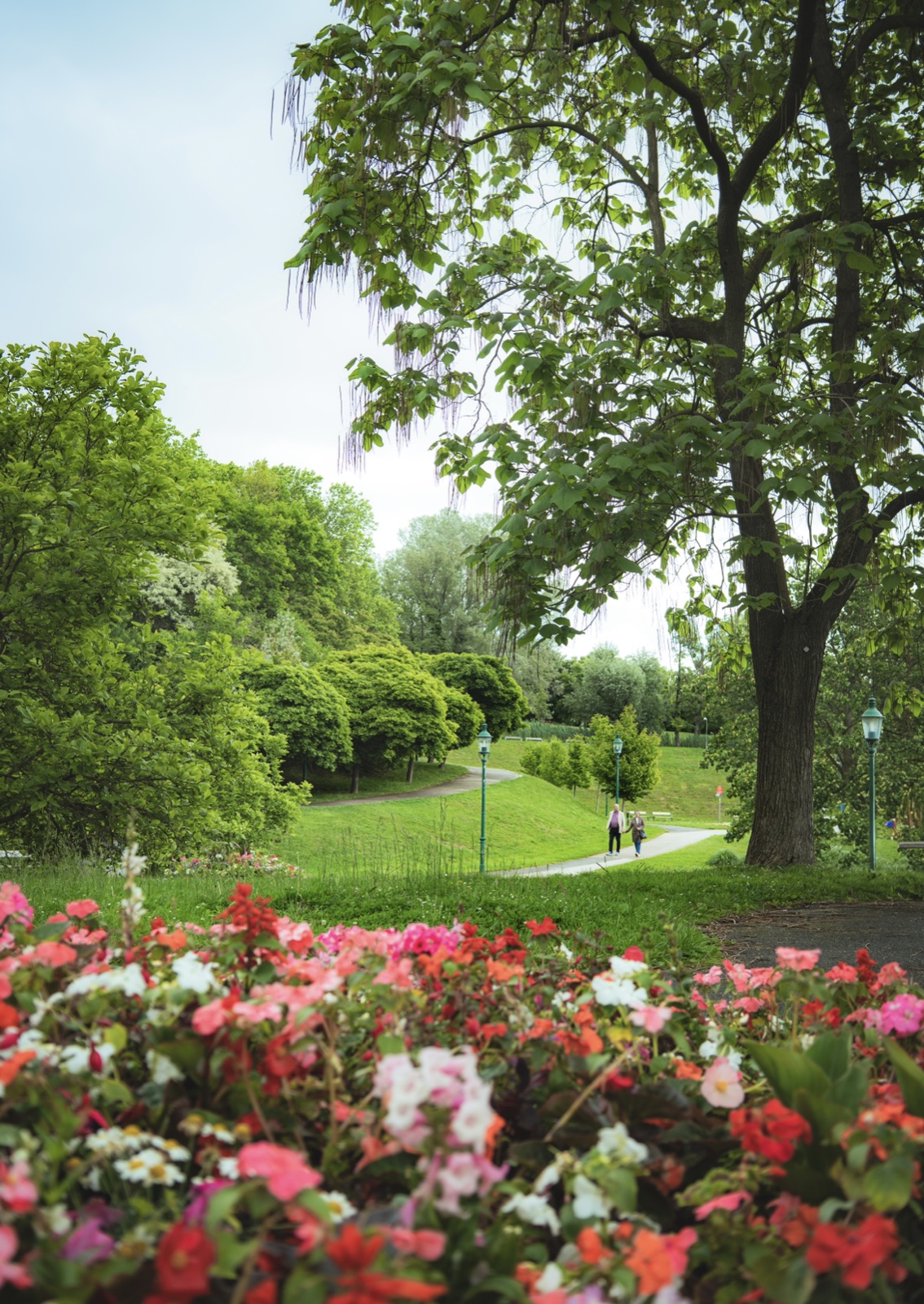 Vienna park with begonias — Best Alex Shots, Vienna